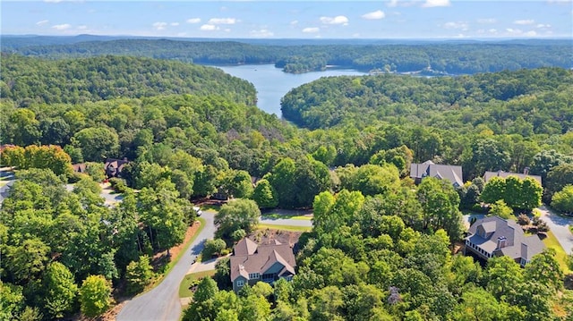 11 York Trce, Cartersville, GA 30121 - drone / aerial view of a forest and a nearby body of water