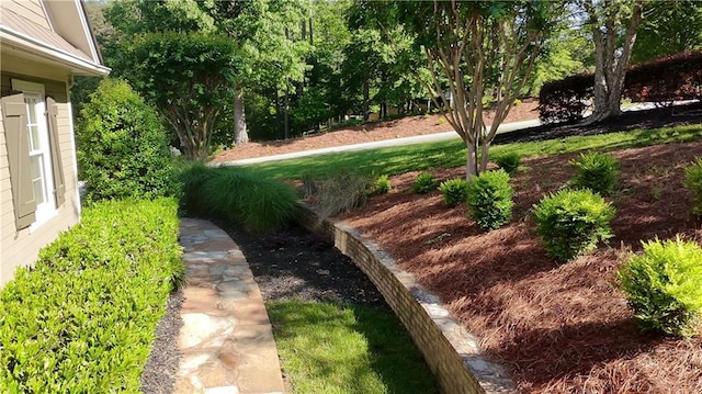 11 York Trce, Cartersville, GA 30121 - view of yard