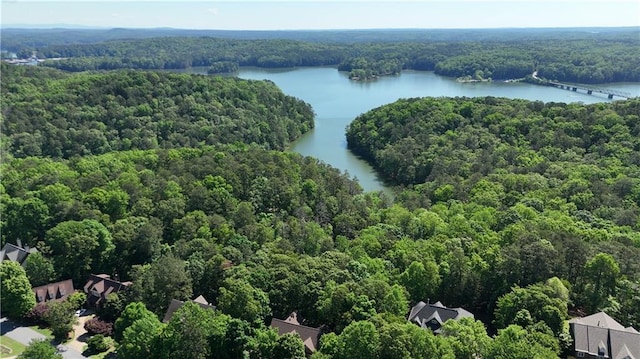 11 York Trce, Cartersville, GA 30121 - drone / aerial view of a forest and a large body of water