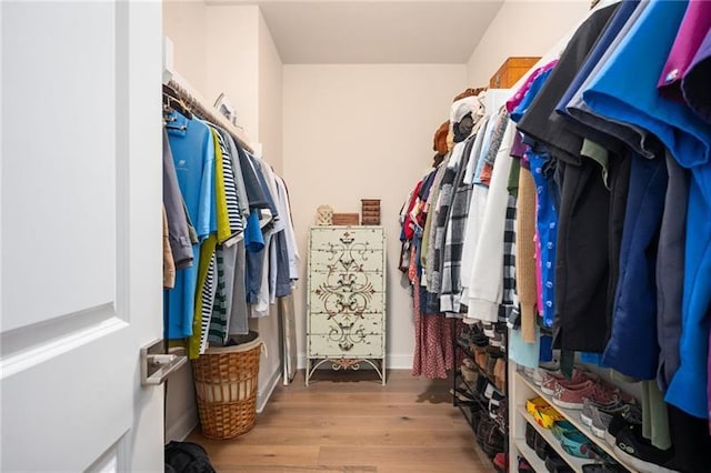 walk in closet featuring wood finished floors