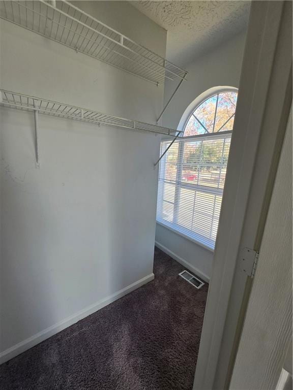 spacious closet with dark carpet