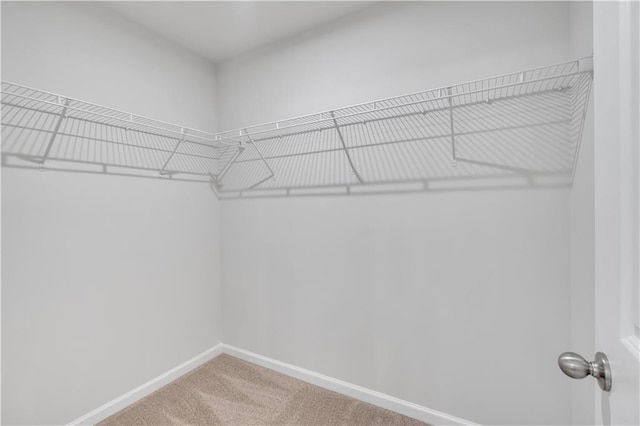 105 Village Green Dr Unit 171, Adairsville, GA 30103 - walk in closet with carpet