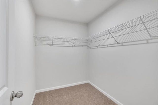 105 Village Green Dr Unit 171, Adairsville, GA 30103 - walk in closet with carpet floors