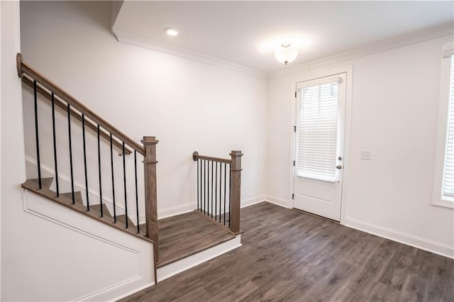 entryway featuring crown molding and dark hardwood / wood-style flooring