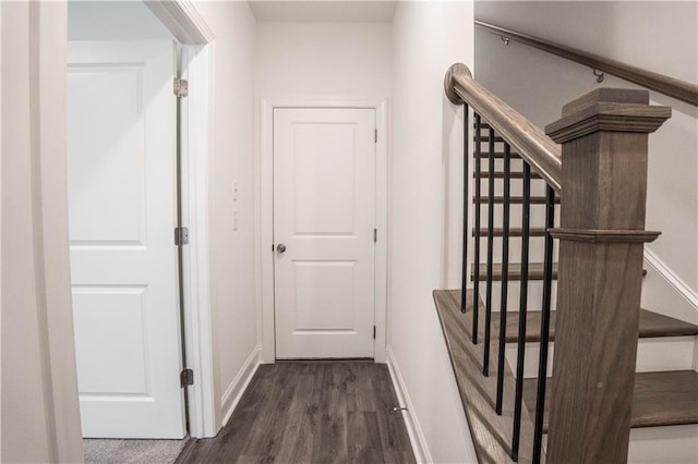 hallway featuring dark hardwood / wood-style floors