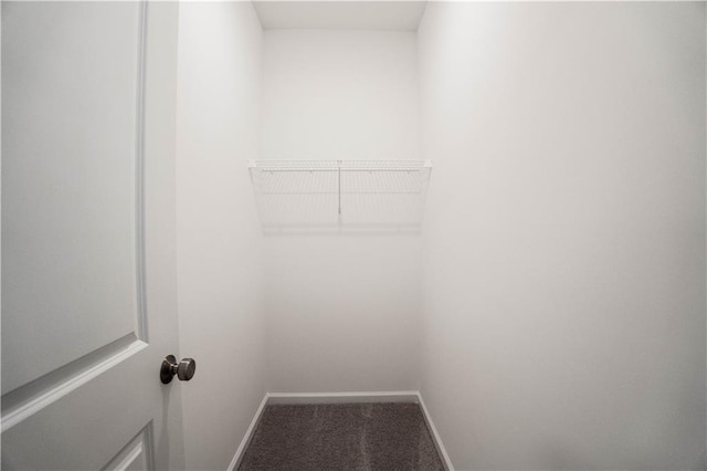 spacious closet with carpet flooring