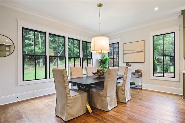 11 Brownson Ct, Acworth, GA 30101 - dining room with healthy amount of natural light, baseboards, crown molding, wood finished floors, and recessed lighting