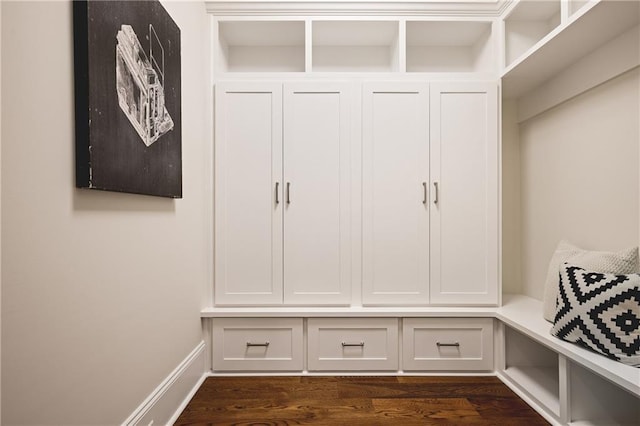 11 Brownson Ct, Acworth, GA 30101 - mudroom with dark wood finished floors