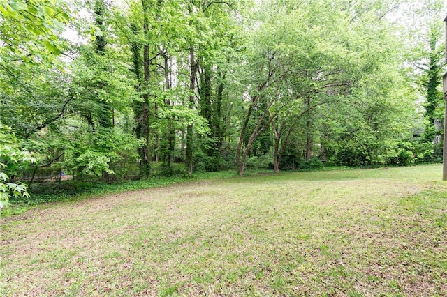4065 Maxanne Dr NW, Kennesaw, GA 30144 - view of yard featuring a view of trees