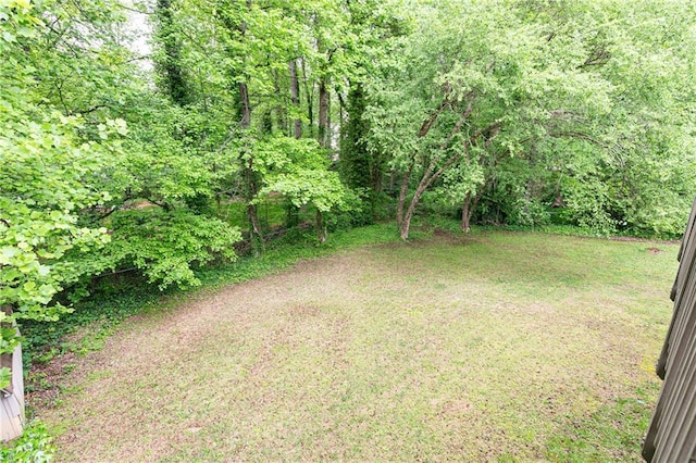 4065 Maxanne Dr NW, Kennesaw, GA 30144 - view of yard