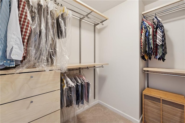 506 Spring View Dr, Woodstock, GA 30188 - spacious closet featuring carpet flooring