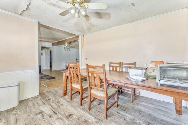 dining space with crown molding, wood finished floors, a wainscoted wall, and a textured ceiling