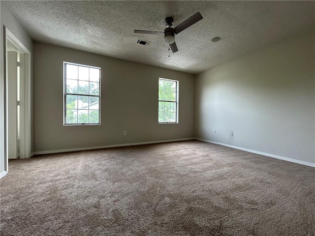 carpeted spare room featuring a wealth of natural light and a textured ceiling