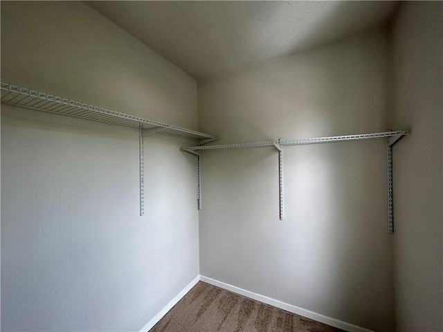 walk in closet with carpet