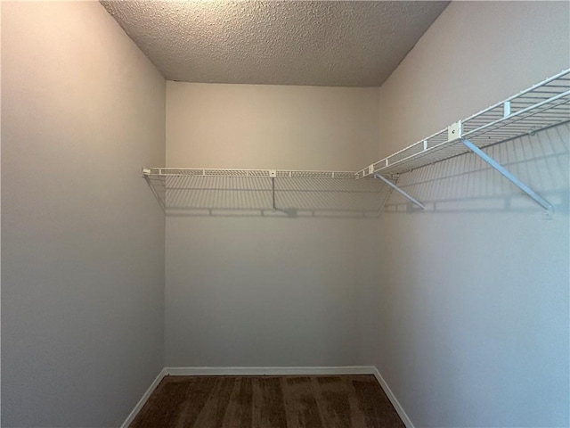 walk in closet with dark colored carpet