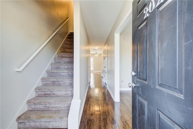 foyer entrance featuring dark hardwood / wood-style flooring