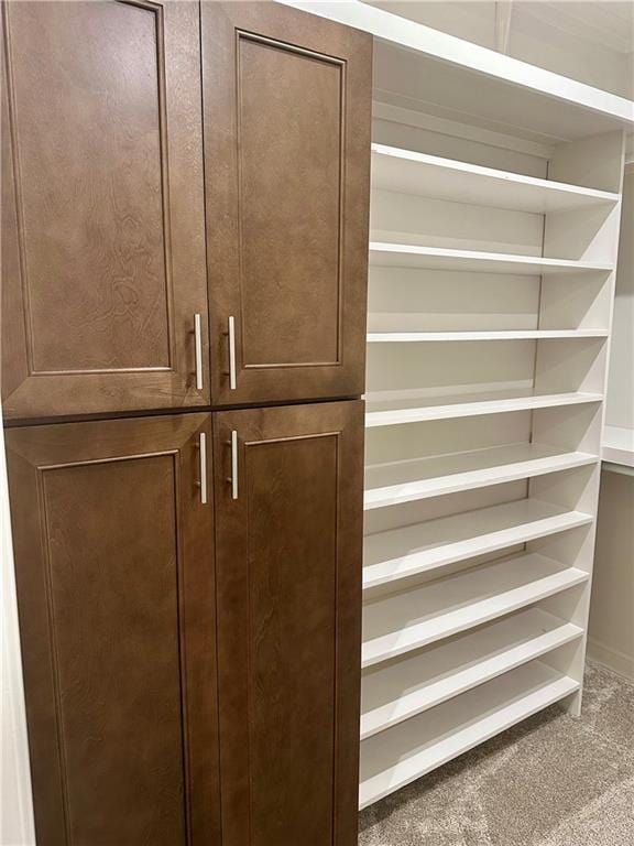 619 Linger Longer Dr, Ellijay, GA 30540 - view of closet
