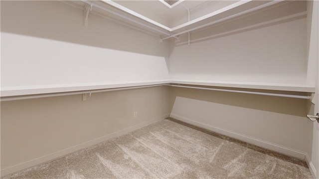 619 Linger Longer Dr, Ellijay, GA 30540 - spacious closet featuring carpet
