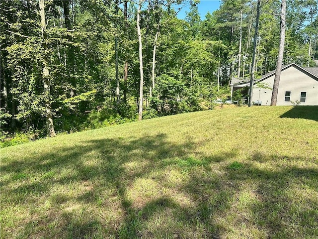 619 Linger Longer Dr, Ellijay, GA 30540 - view of grassy yard