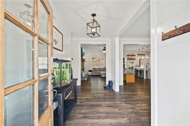 foyer with ceiling fan with notable chandelier, ornamental molding, and dark wood-style flooring