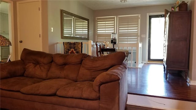 living room featuring hardwood / wood-style flooring