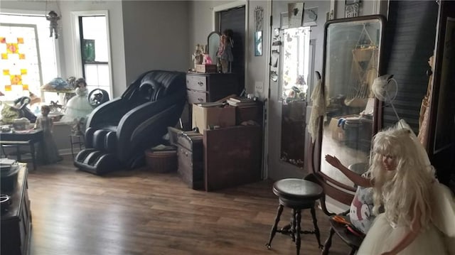 misc room featuring dark hardwood / wood-style flooring