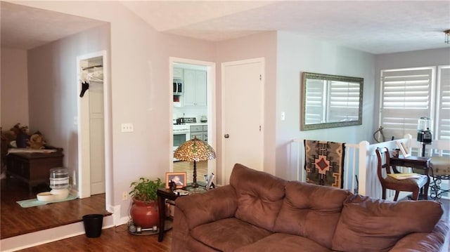 living room with hardwood / wood-style flooring