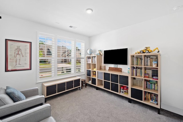 209 Floral Valley Dr, Woodstock, GA 30188 - view of carpeted living room