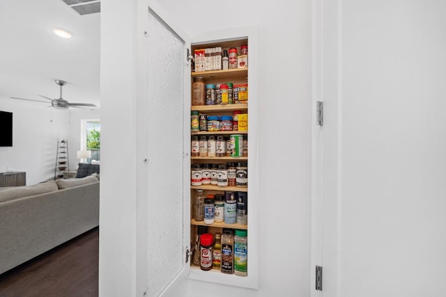 209 Floral Valley Dr, Woodstock, GA 30188 - view of pantry