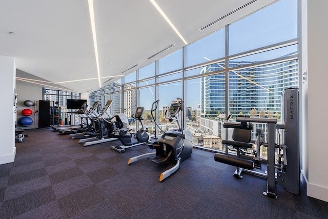 workout area featuring carpet flooring and floor to ceiling windows