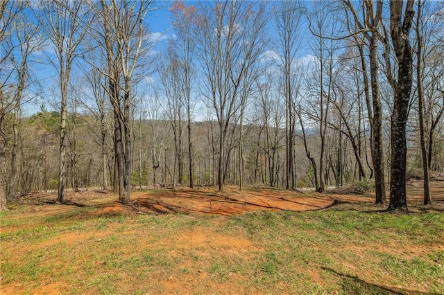 294 Hillcrest Hts, Cornelia, GA 30531 - view of yard featuring a wooded view