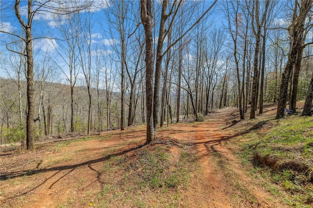 294 Hillcrest Hts, Cornelia, GA 30531 - view of road with a forest view