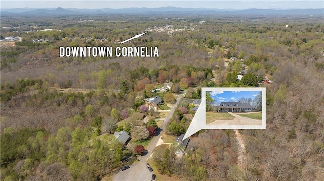 294 Hillcrest Hts, Cornelia, GA 30531 - aerial view of property's location with a heavily wooded area