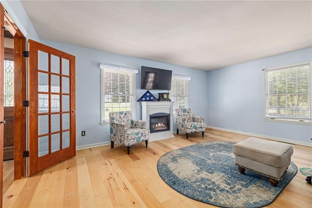 294 Hillcrest Hts, Cornelia, GA 30531 - living area featuring light wood finished floors, a glass covered fireplace, baseboards, and french doors