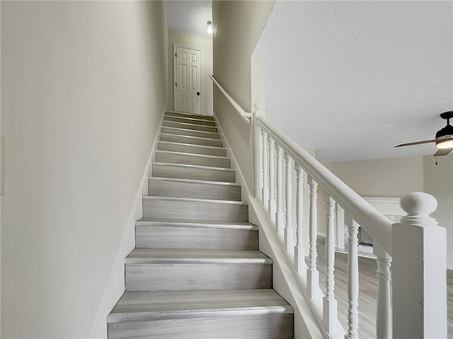 staircase featuring ceiling fan