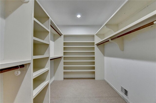 spacious closet with light carpet