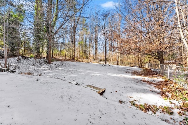 view of yard covered in snow