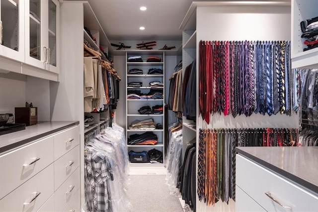 view of walk in closet