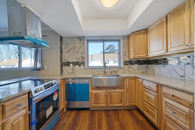 kitchen featuring island exhaust hood, a raised ceiling, appliances with stainless steel finishes, dark hardwood / wood-style floors, and sink