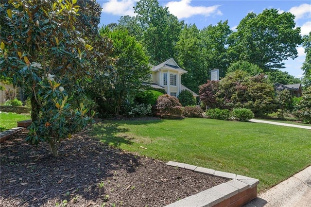 3231 Connemara Trce, Lawrenceville, GA 30044 - view of green lawn
