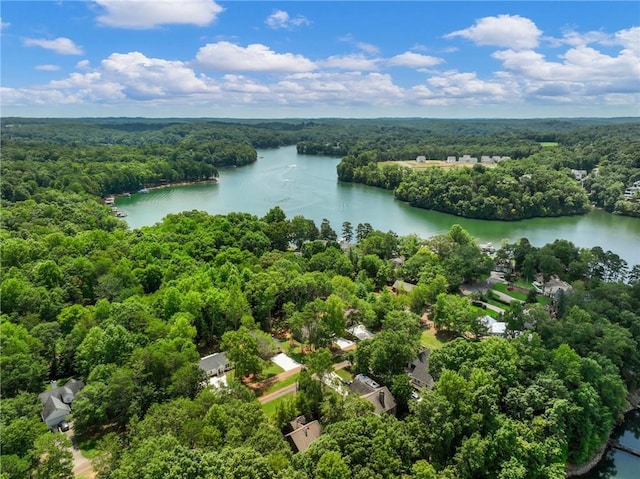 aerial view featuring a water view and a view of trees