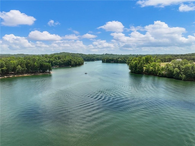 property view of water with a wooded view