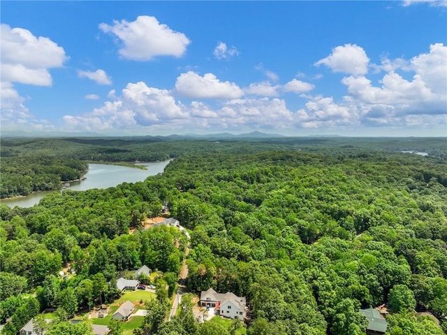 bird's eye view with a water view and a wooded view