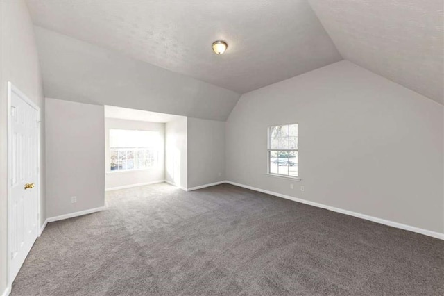 116 Rolling Meadows Ct, Hampton, GA 30228 - bonus room featuring carpet flooring, plenty of natural light, and lofted ceiling