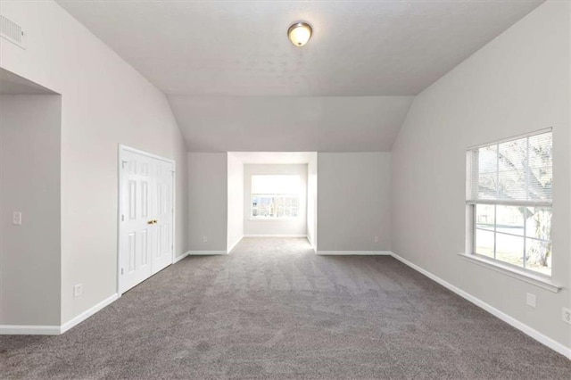 116 Rolling Meadows Ct, Hampton, GA 30228 - carpeted spare room with lofted ceiling