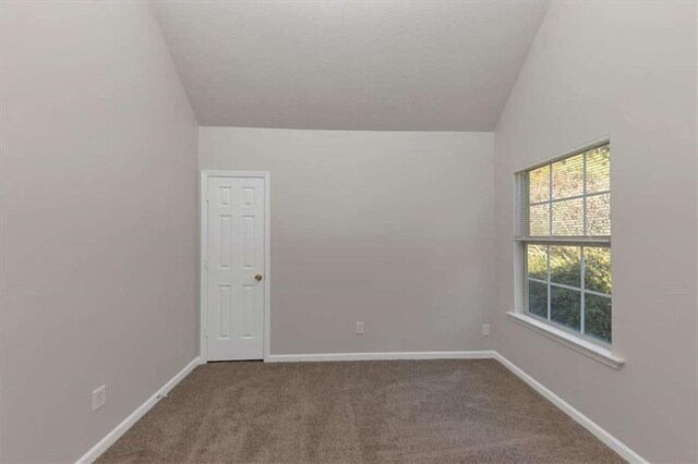 116 Rolling Meadows Ct, Hampton, GA 30228 - carpeted spare room featuring vaulted ceiling