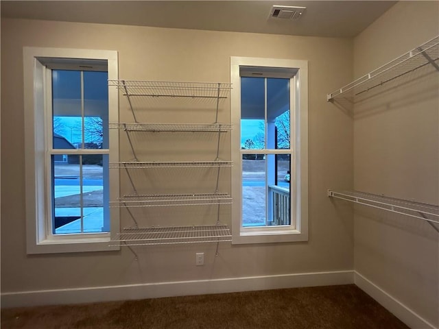 spacious closet featuring carpet