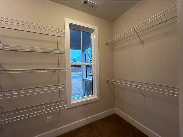 view of walk in closet