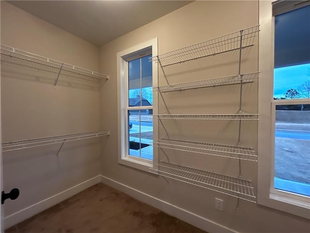 view of spacious closet