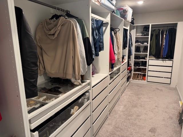 spacious closet featuring light colored carpet